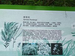 -西湖风景区-江洋畈生态公园