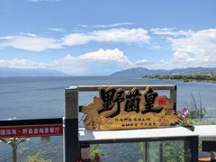 -野菌皇海景野生菌火锅(滨海大道店)