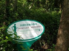 -南京市江宁方山