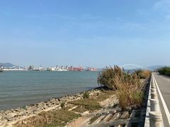 -芒洲湿地公园