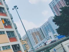 -彩虹村