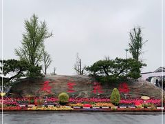 -荷兰花海