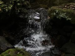 -海南热带雨林国家公园吊罗山景区