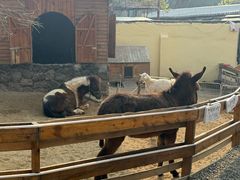 -HERRE·FARM 赫尔露营农场·团建聚会包场