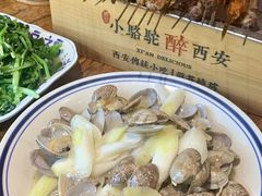 -福苗小骆驼烧烤(莲湖路店)