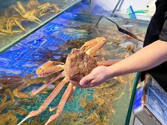 -驻海渔市(置信店)