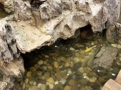 -福尔喵斯探案馆实景搜证·沉浸式剧本杀