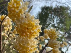 -洨河生态公园