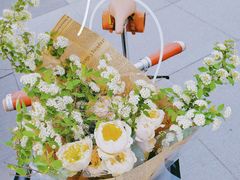-大小咖啡 BigSmallCoffee(麦子店)