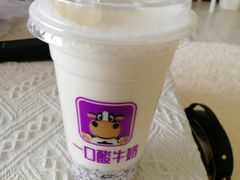 -一只酸奶牛(八一路店)