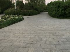 -群力丁香公园