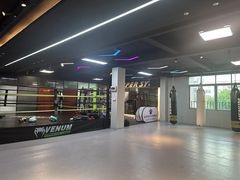 -Super Sy泰拳格斗