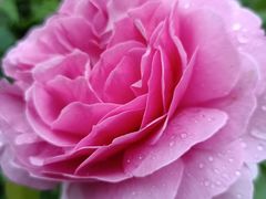 -上海植物园-4号门售票处