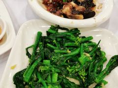 姜汁炒芥兰-朱仔记食府(江南大道店)