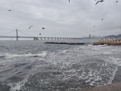 -星海广场
