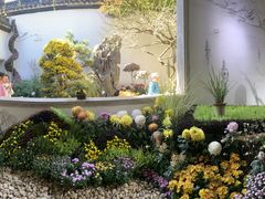 -杭州植物园