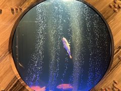 -莉莉海堂HAITANG·烤鸭(国贸商城店)