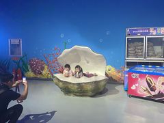 -泉城欧乐堡海洋极地世界