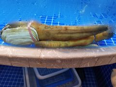 -海鲜城大家餐厅