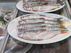 -老码头黑皮肘子锅包肉(文政街店)