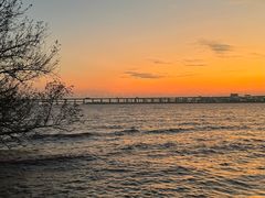 -宝安西湾红树林湿地公园