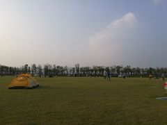 -春花秋色城市公园