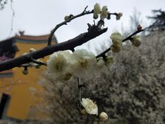 -太子山公园(园东路)