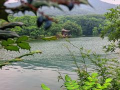 -紫霞湖公园