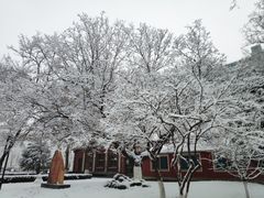 -北京化工大学(东校区)