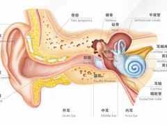 -自然之声助听器(平凉店)