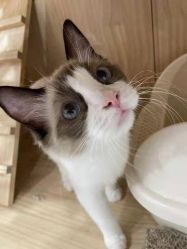 -花系美·美甲美睫精品店