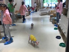 -藏猫猫咖啡主题馆(中央大道店)