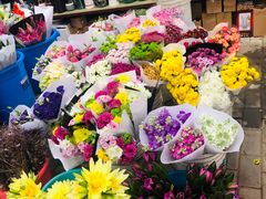 -秦美花卉(天朗·莱茵小城2期店)