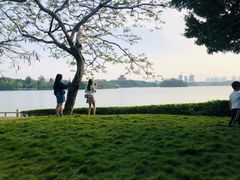 -东湖公园
