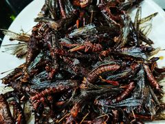 -北京龙庆四季香农家饭庄·灶台鱼·碳烤虹鳟鱼(龙庆峡店)