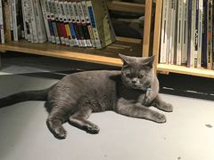 -小时光咖啡馆(开森度假森林店)