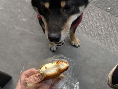 -慢熟面包店bud bread(孩儿巷店)