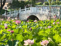 -东升八家郊野公园