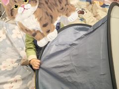 -宜家家居(四元桥商场店)