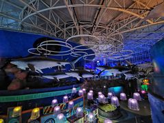 -烟台海昌鲸鲨海洋公园