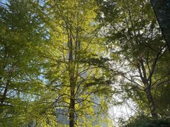 -星巴克(杭州市民中心店)