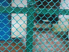 -广东茂名森林公园