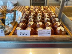-WHEN PIGS FLY当猪飞