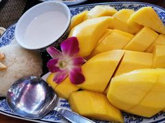 -卷心菜和避孕套餐厅(Pattaya)
