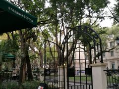 -星巴克臻选(广州沙面店)