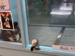 -FAELING PETS美天灵宠物(合生汇店)