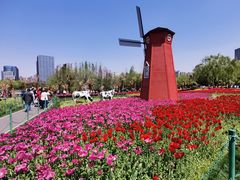 -大宁公园