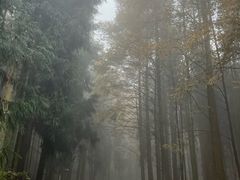 -山王坪喀斯特国家生态公园