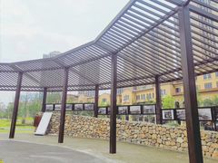 -府河摄影公园