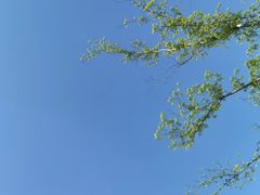 -扬州天乐湖嬉乐谷